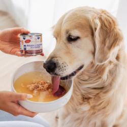 Bulion z filetem z łososia dla psa        i kota 140g PERRO