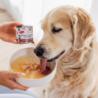 Bulion z filetem z łososia dla psa        i kota 140g PERRO