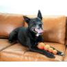 Piłki tenisowe 4szt mix 3,81cm  XS        OUTWARD HOUND