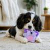Koko szeleszcząca koala bez piszczałki    i bez wypełnienia 15cm BUBA