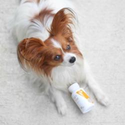 Immune system 50 kaps VET EXPERT