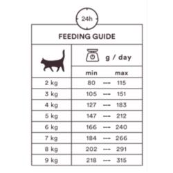 Karma mokra dla kota jagnięcina 85g        Monster Cat Pouches Adult Lamb MONSTER