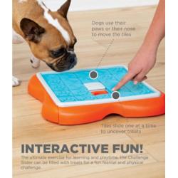 Gra edukacyjna Puppy Lickin Layers        poziom 2 NINA OTTOSSON