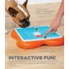 Gra edukacyjna Puppy Lickin Layers        poziom 2 NINA OTTOSSON