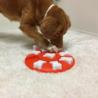Gra edukacyjna Dog Smart poziom 1 NINA    OTTOSSON