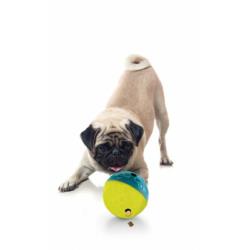 Gra edukacyjna Dog Treat Maze poziom 2    NINA OTTOSSON