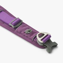 Obroża dla psa Urban Explorer L/XL 50 -   66cm Purple Passion DOG COPENHAGEN