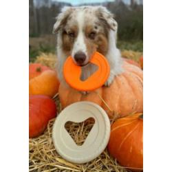 Frisboo mini niebieski FIBOO