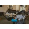 Mata miska Classic Catster turkusowa      LICKIMAT