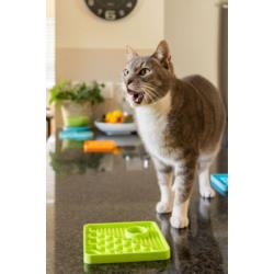Mata miska Classic Catster zielona        LICKIMAT