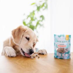 Krewetki grenlandzkie liofilizowane       Goodies 30 g PAMICO