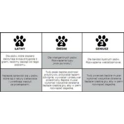 Gra edukacyjna Puppy smart poziom 1 NINA  OTTOSSON