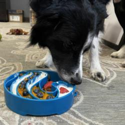 Miska spowalniająca jedzenie Fale Wave    Design Ebowl blue SODA PUP