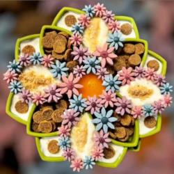 Miska spowalniająca jedzenie Mandala      zielona Mandala Feeder Green SODA PUP