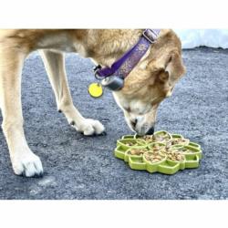 Miska spowalniająca jedzenie Mandala      zielona Mandala Feeder Green SODA PUP