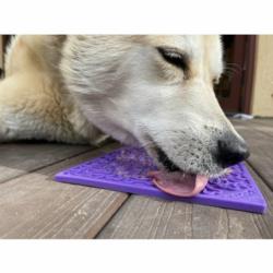 Mata do lizania roz.L Kości fioletowa     Emat Bones  Large Purple SODA PUP