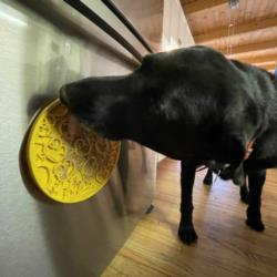 Mata do lizania z przyssawkami Kaczuszki  żółta Duckies SODA PUP