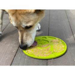 Mata do lizania z przyssawkami Drzewo     zielona Tree of life eMat green SODA PUP