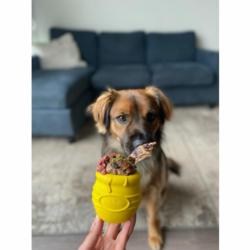 Kubeczek na przysmaki nżółtyHoney Pot     Yellow SODA PUP