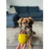 Kubeczek na przysmaki nżółtyHoney Pot     Yellow SODA PUP