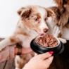 Karma mokra Indyk z cukinią –             monobiałkowa formuła psy dorosłe 850 g PERRO