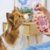 Żurawina liofilizowana Mix & Match 10g    PERRO