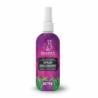 Spray spacerowy 100ml HOLISTA