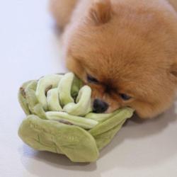 Kapusta zabawka węchowa Snuffle Cabbage   PUPS&BUBS