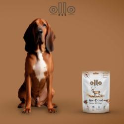 Przysmaki dla psa z jelenia air-dried     strips 80g OLLO