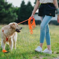 Linka treningowa żółta 2cm 5m DINGO