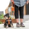 Szelki dla psa Comfort Walk AIR 3.0       rozm.XL Desert Dune DOG COPENHAGEN