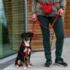 Smycz dla psa Urban Freestyle rozm.L      115-200cm Desert Dune DOG COPENHAGEN