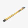 Obroża dla psa Urban Style rozm.S 26 -    36cm Lemon DOG COPENHAGEN