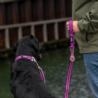 Obroża dla psa Urban Style rozm.M 36 -    50cm Lemon DOG COPENHAGEN