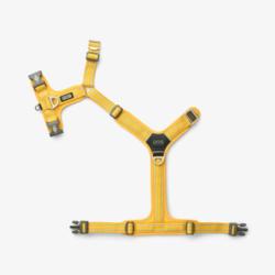 Szelki dla psa Comfort Walk Air 3.0       rozm. L Lemon DOG COPENHAGEN