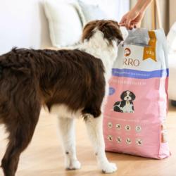 Karma sucha Indyk z królikiem dla         szczeniąt 9 kg PERRO