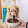 Karma sucha Kaczka z batatami psy         dorosłe średnie i duże rasy 12kg PERRO