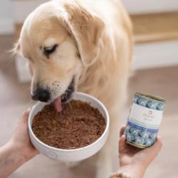 Karma mokra Konina z korzeniem            pietruszki – monobiałkowa formuła psy dorosłe 800 g PERRO