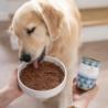 Karma mokra Konina z korzeniem            pietruszki – monobiałkowa formuła psy dorosłe 800 g PERRO