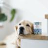 Karma mokra Konina z korzeniem            pietruszki – monobiałkowa formuła psy dorosłe 800 g PERRO
