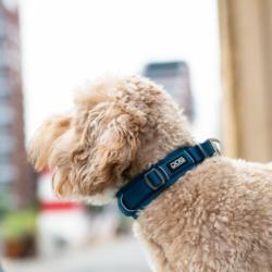 Obroża dla psa Urban Explorer rozm.M 42   - 50cm Lemon DOG COPENHAGEN