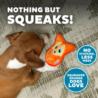 Pomarańczowy lisek Durablez XS OUTWARD    HOUND