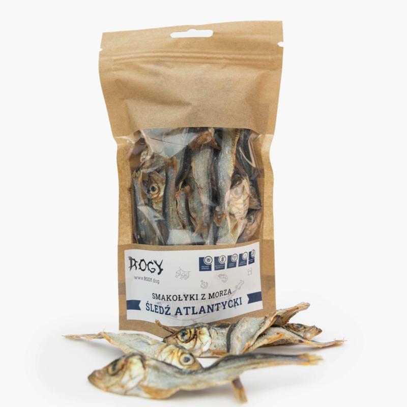 Śledź atlantycki 70g ROGY