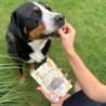 BON BON Jagnięcina – wsparcie odporności  80 g PERRO