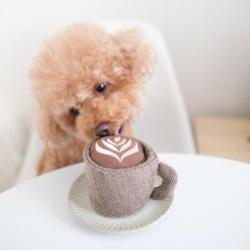 Kawa latte zabawka węchowa dla psa         LAMBWOLF