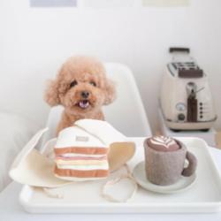 Kawa latte zabawka węchowa dla psa         LAMBWOLF