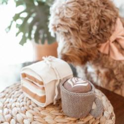 Kawa latte zabawka węchowa dla psa         LAMBWOLF