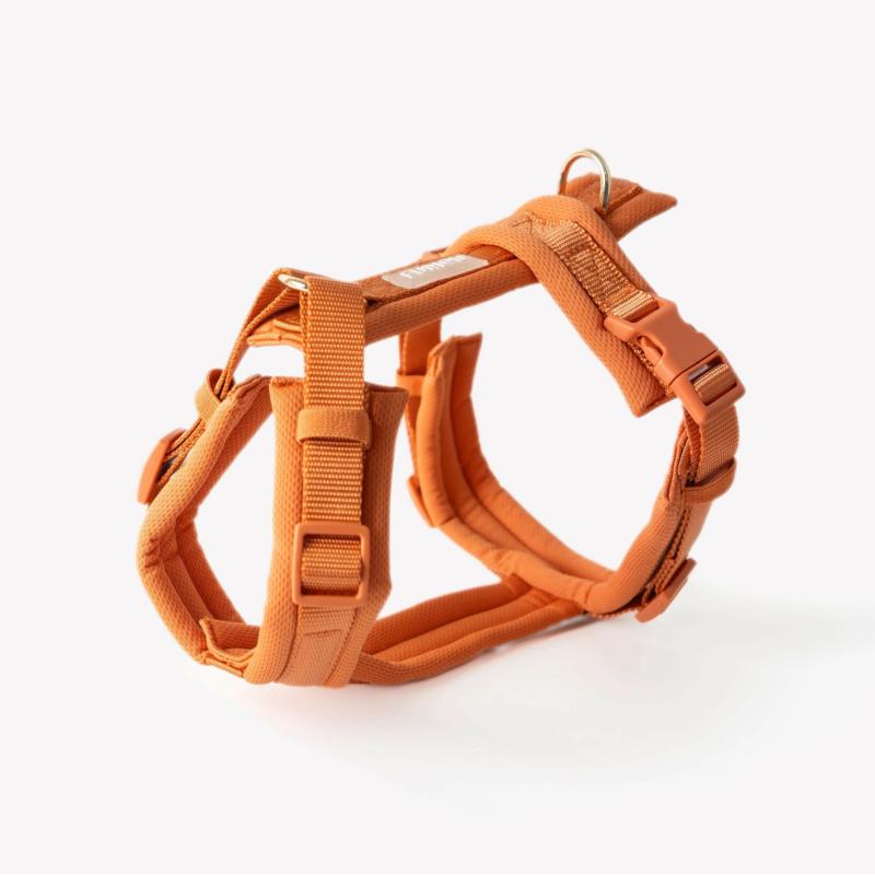 Szelki comfort guard terracotta XS FURLOU Szelki comfort guard terracotta XS FURLOU