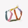 Szelki strap guard rainbow  XS FURLOU