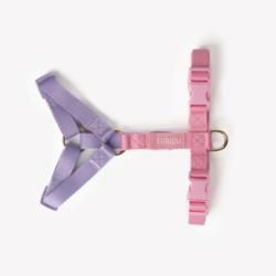 Szelki strap guard lavender and pink S    FURLOU